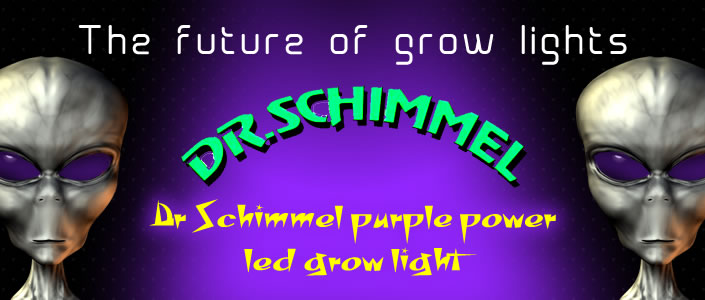 Purple Grow Lights